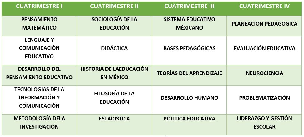 Curricula_Licenciatura_01