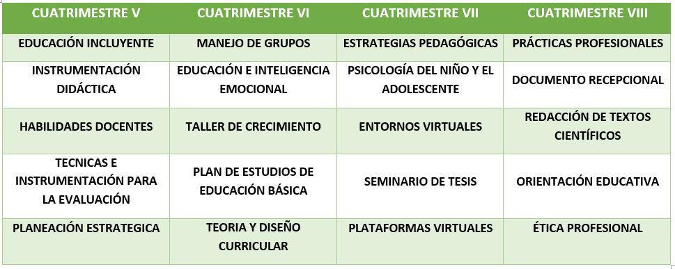 Curricula_Licenciatura_02