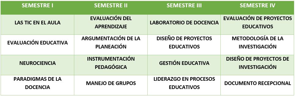 Curricula_Maestria